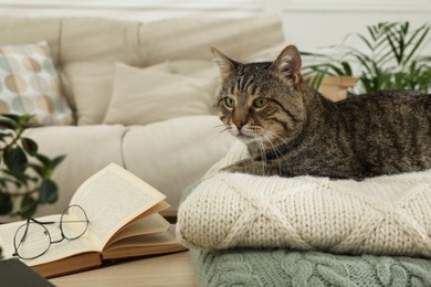 Cute tabby cat on stack of knitted plaids indoors