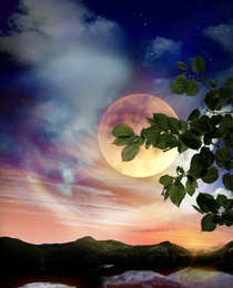 Image of Fantasy world. Tree branch and full moon in starry sky over mountains at night