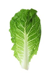 Fresh leaf of green romaine lettuce isolated on white