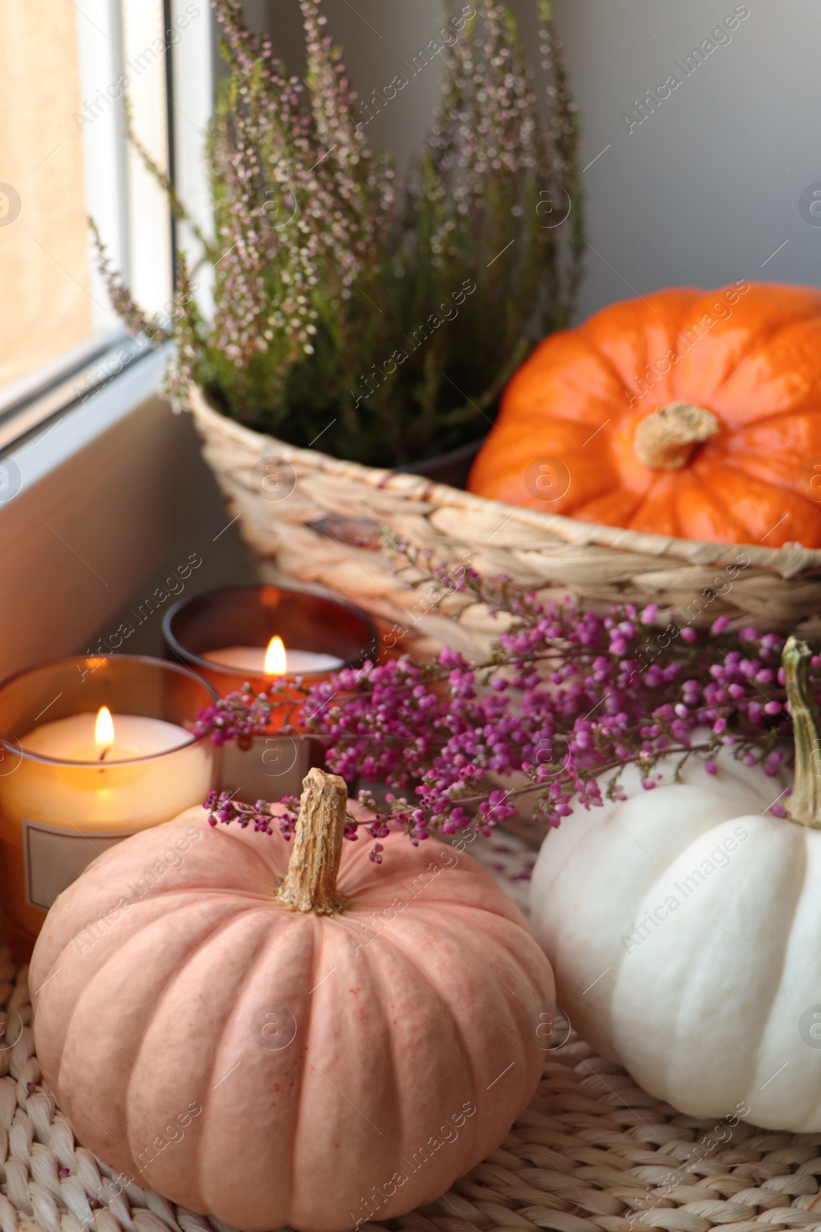 Photo of Wicker basket with beautiful heather flowers, pumpkins and burning candles near window indoors