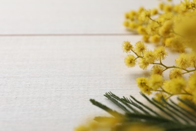 Photo of Beautiful mimosa flowers on white wooden table, closeup. Space for text