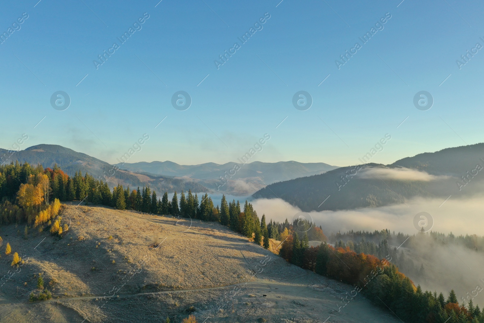 Photo of Forest and land covered with hoarfrost in mountains. Drone photography