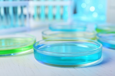 Petri dishes with liquid on table in laboratory. Chemical analysis