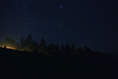 Picturesque view of forest and beautiful starry sky at night