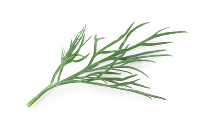 Photo of One sprig of fresh dill isolated on white