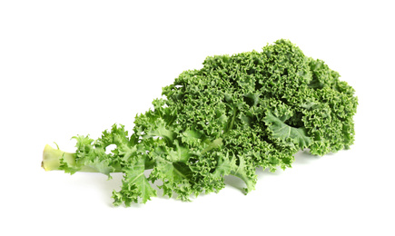 Photo of Fresh green kale leaf isolated on white