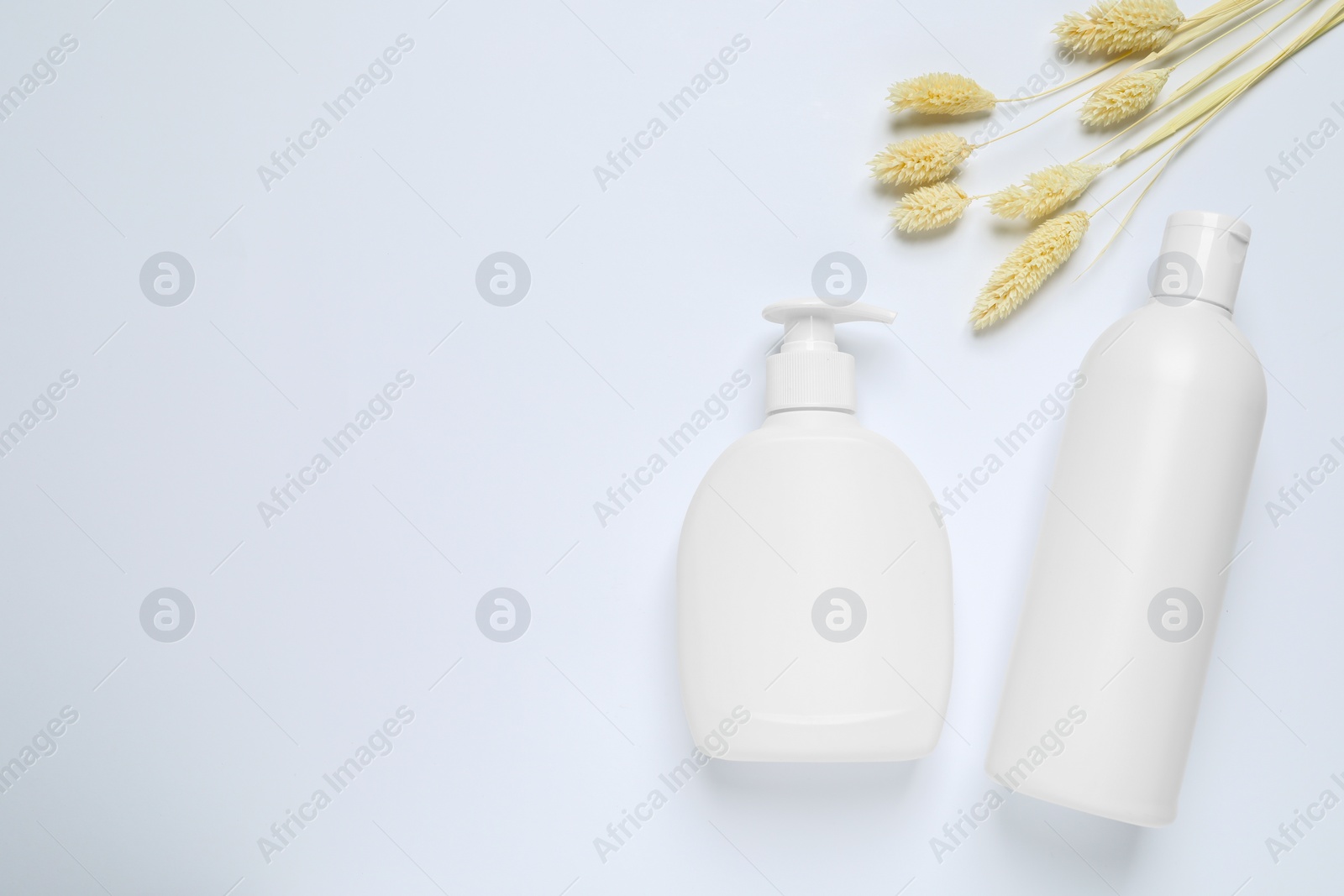 Photo of Bottles with different cosmetic products and dry decorative spikes on white background, flat lay. Space for text