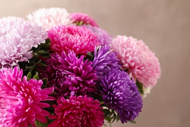 Beautiful aster flower bouquet on color background