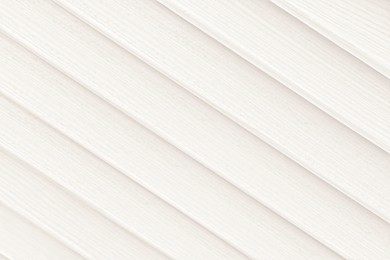 Texture of white wooden planks as background, top view