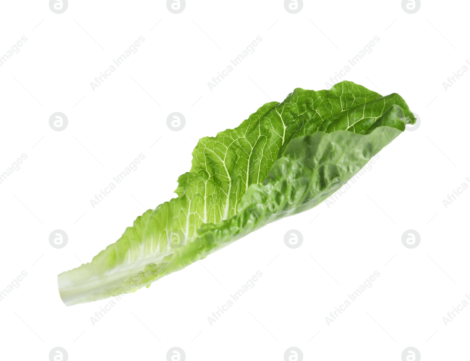 Photo of Fresh leaf of green romaine lettuce isolated on white