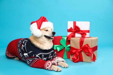 Photo of Cute Akita Inu dog in Christmas sweater and Santa hat near gift boxes on blue background