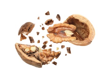 Broken walnut and pieces of shell flying on white background