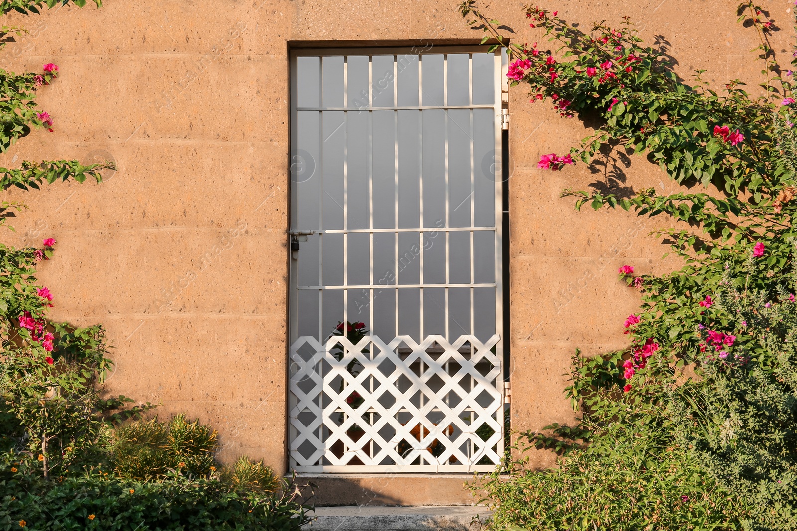 Photo of Beautiful blooming plants near entrance of house with white metal gate on sunny day