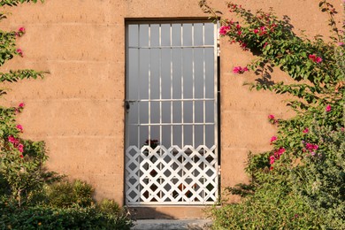 Photo of Beautiful blooming plants near entrance of house with white metal gate on sunny day