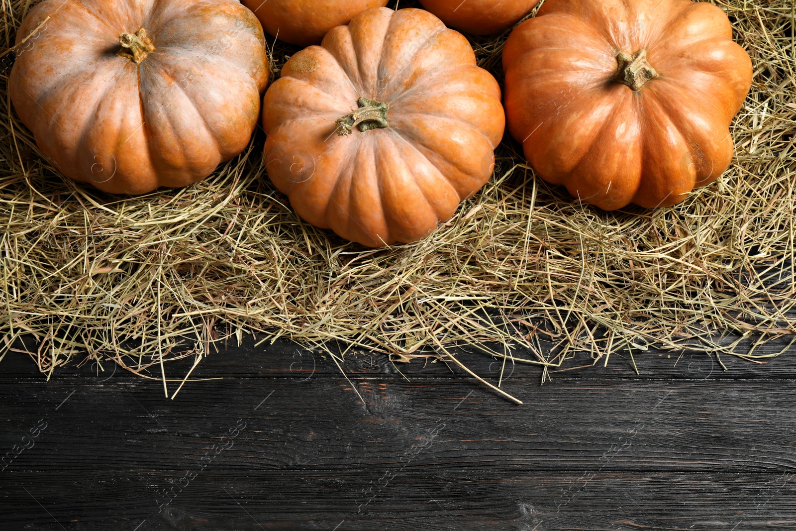 Photo of Flat lay composition with different ripe pumpkins on wooden background, space for text. Holiday decoration