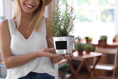 Photo of Young woman holding home plant with blank nameplate at shop, closeup. Space for text