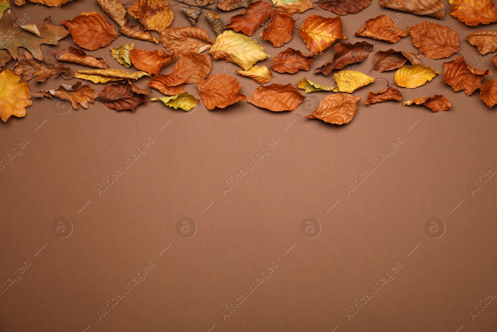 Photo of Dry autumn leaves on brown background, top view. Space for text