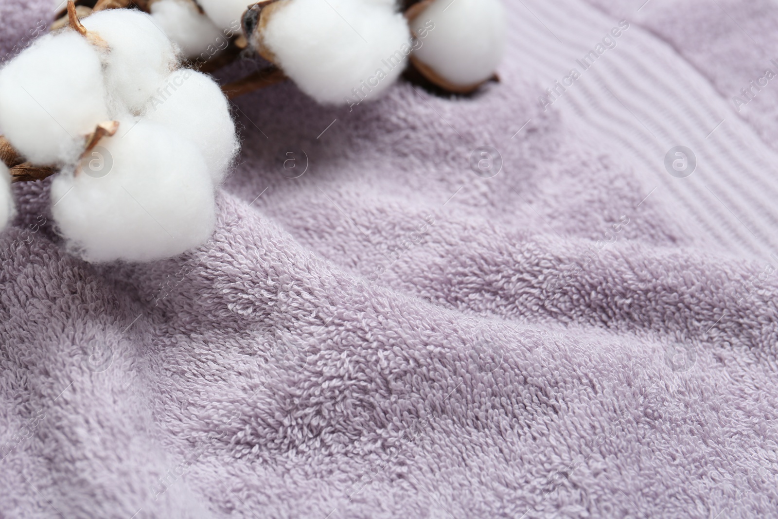 Photo of Cotton flowers on violet terry towel, closeup. Space for text