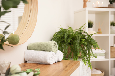 Photo of Beautiful green plants in elegant modern bathroom. Interior design