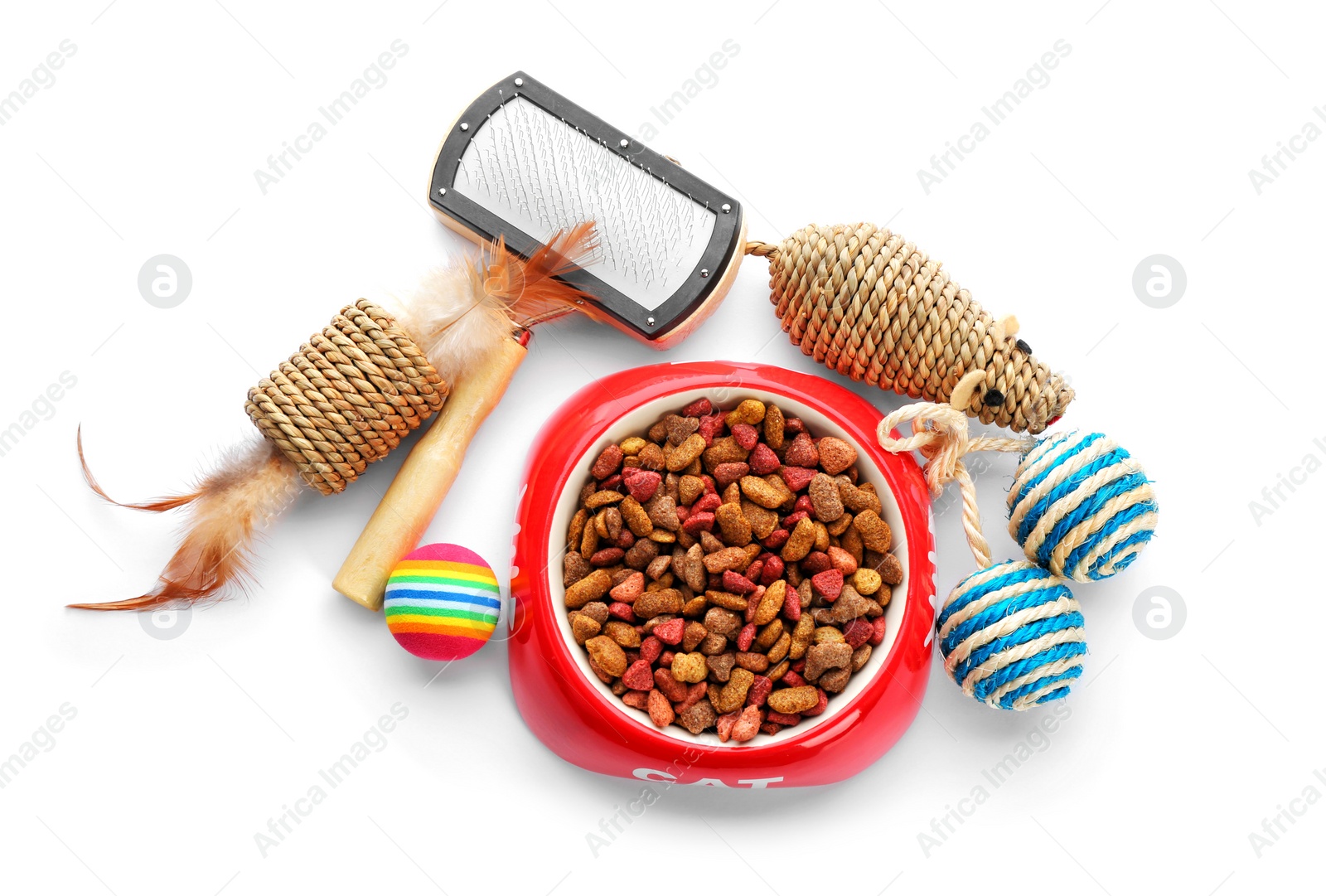 Photo of Cat toys and accessories on white background. Pet care