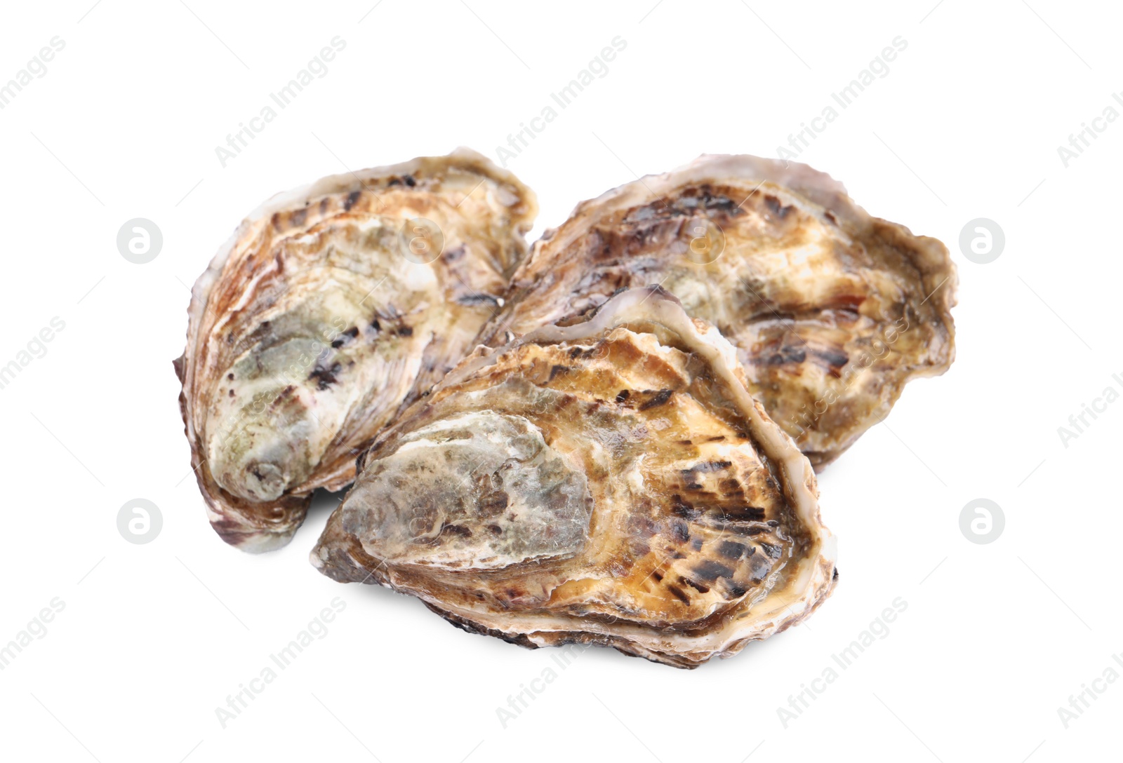 Photo of Fresh raw closed oysters on white background