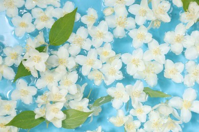 Beautiful jasmine flowers and green leaves in water on light blue background, top view