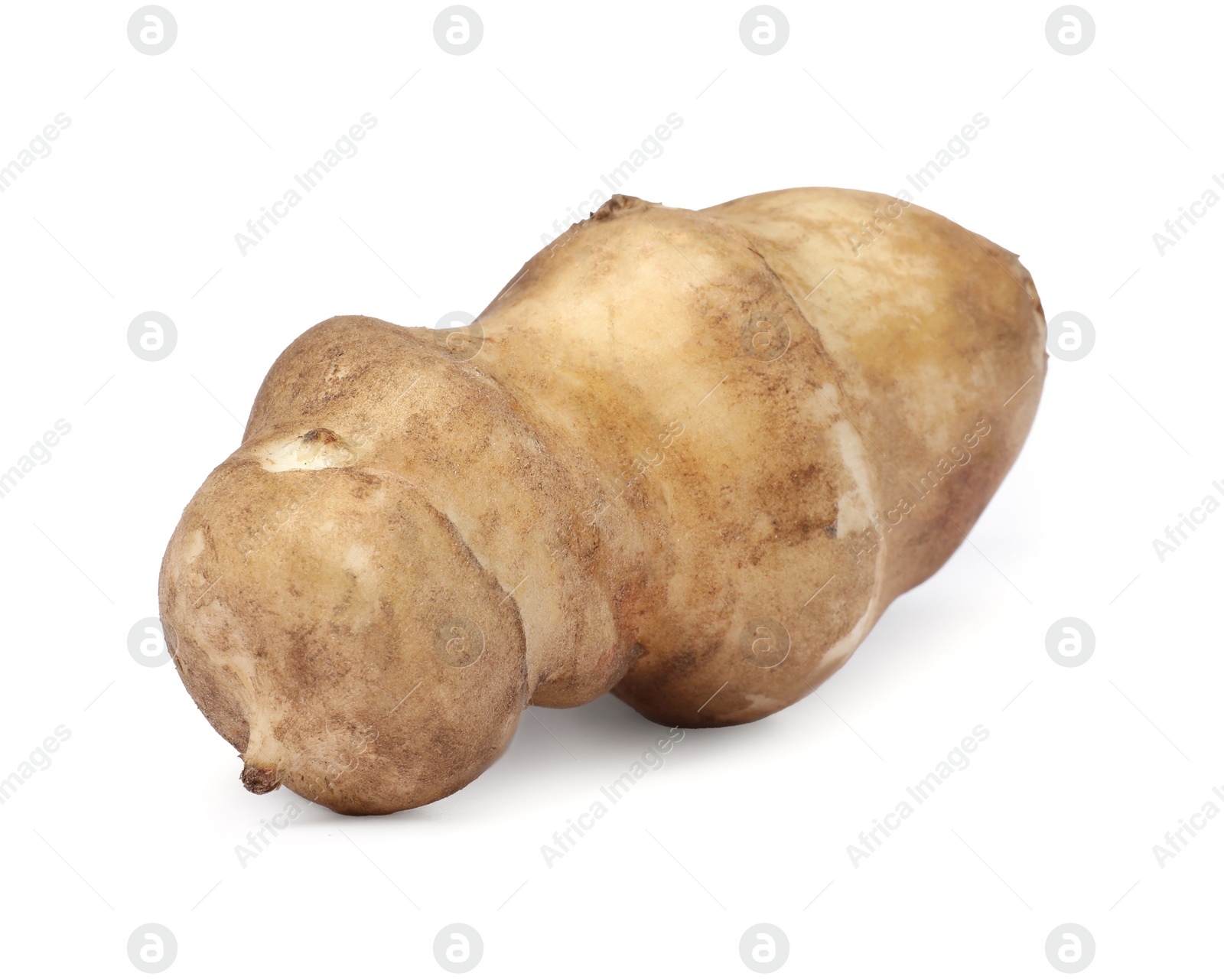 Photo of One raw Jerusalem artichoke isolated on white