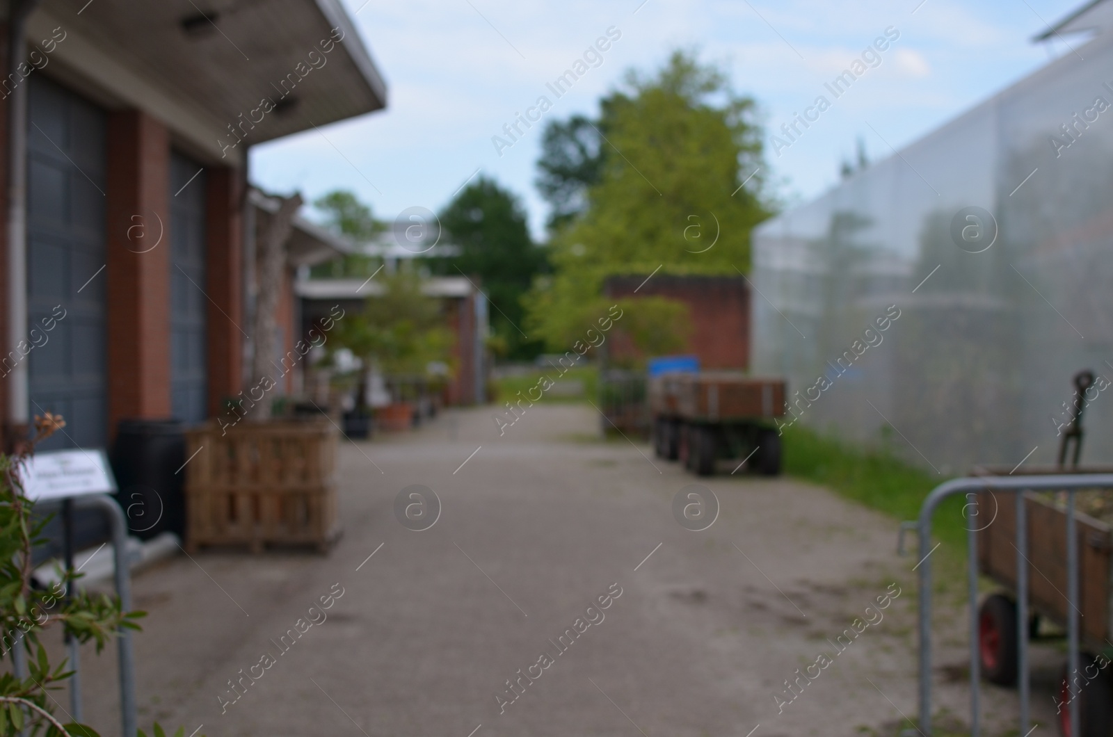 Photo of Blurred view of backyard and greenhouse outdoors