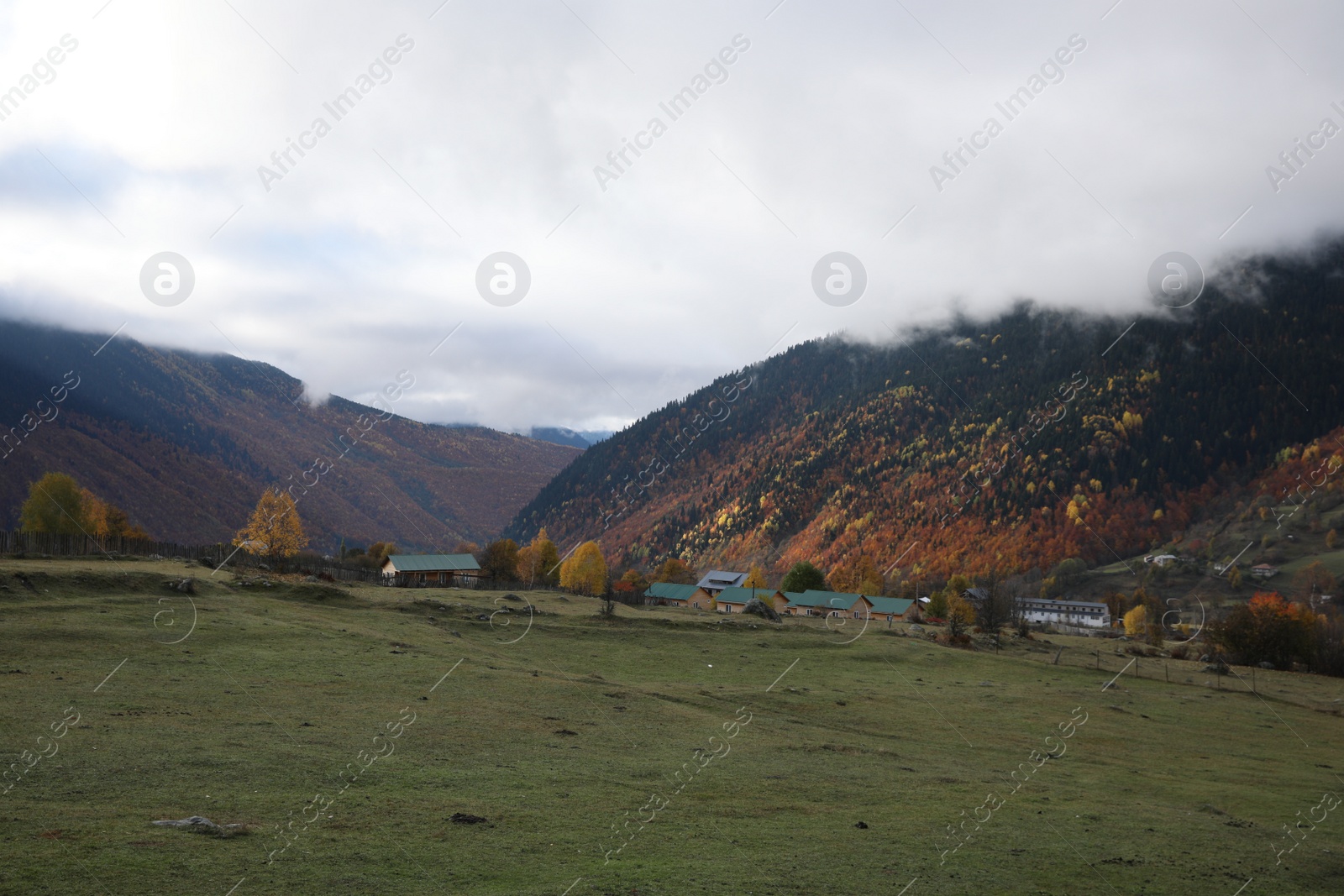 Photo of Picturesque landscape with forest and mountain village on autumn day