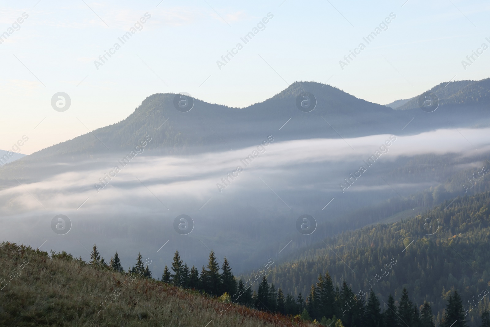 Photo of Picturesque view of mountain forest covered with fog