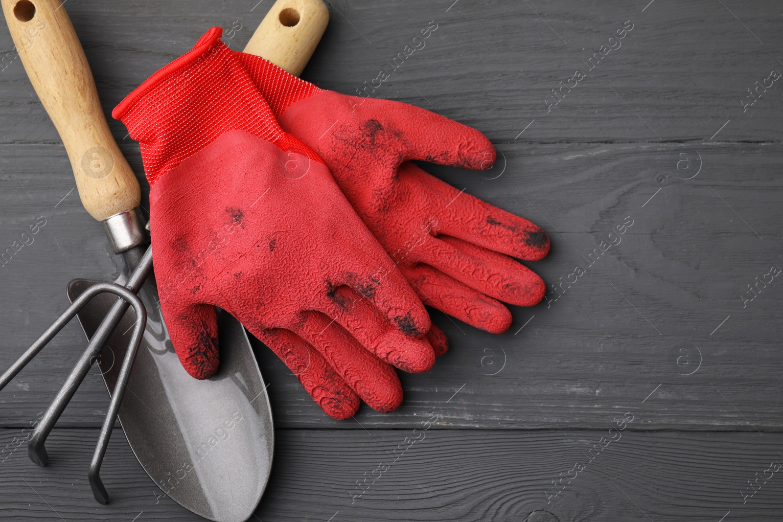 Photo of Gardening gloves, trowel and rake on grey wooden table, top view. Space for text