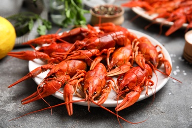 Delicious red boiled crayfishes on grey table, closeup