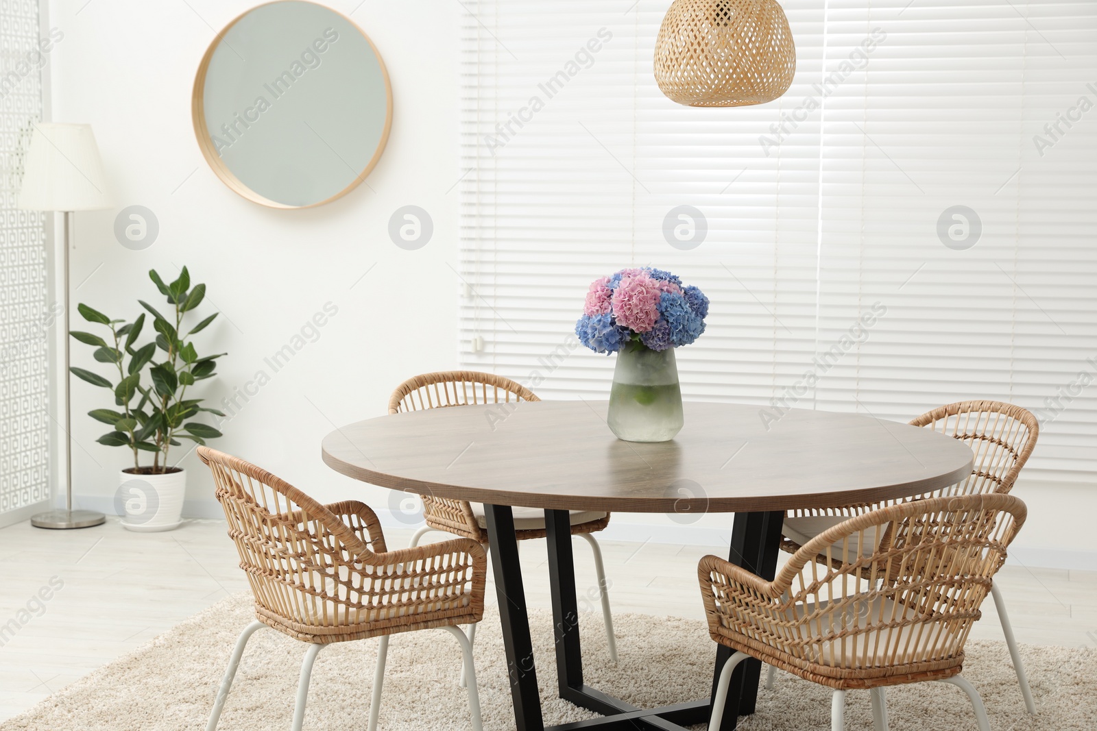 Photo of Table, chairs and vase of hydrangea flowers in dining room. Stylish interior