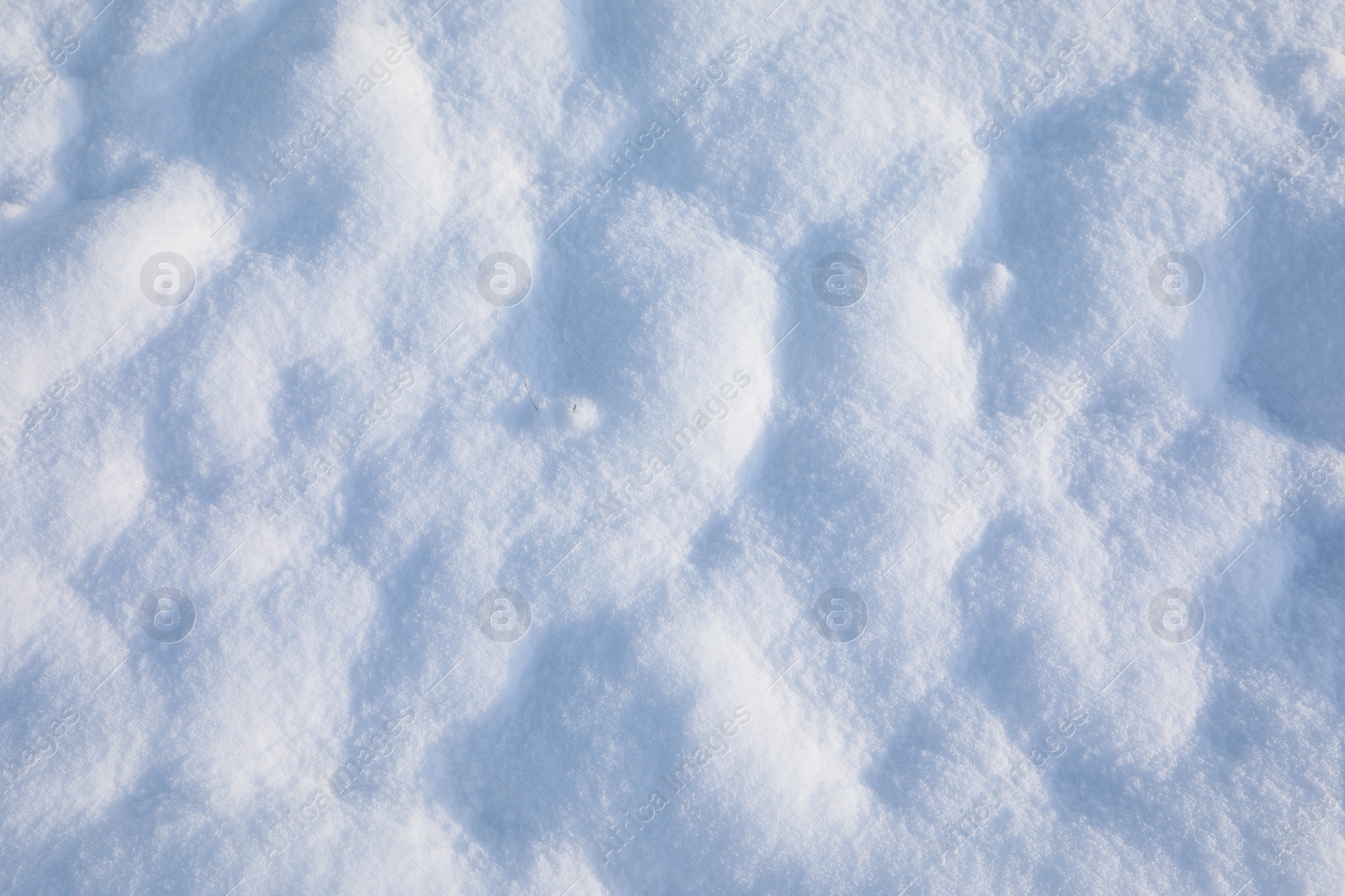 Photo of Beautiful white snow as background, closeup view