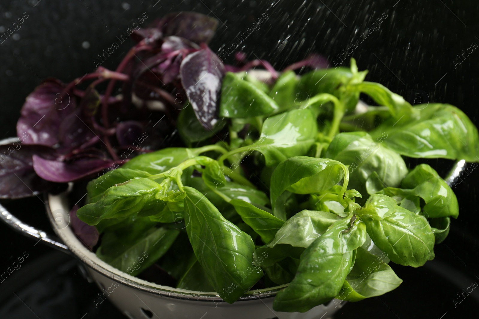 Photo of Washing different fresh basil leaves under tap water in metal colander in sink, closeup