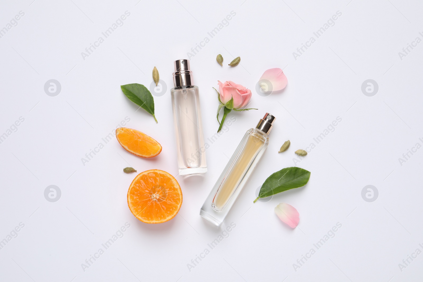 Photo of Flat lay composition with bottles of perfume, beautiful flower and tangerine on white background