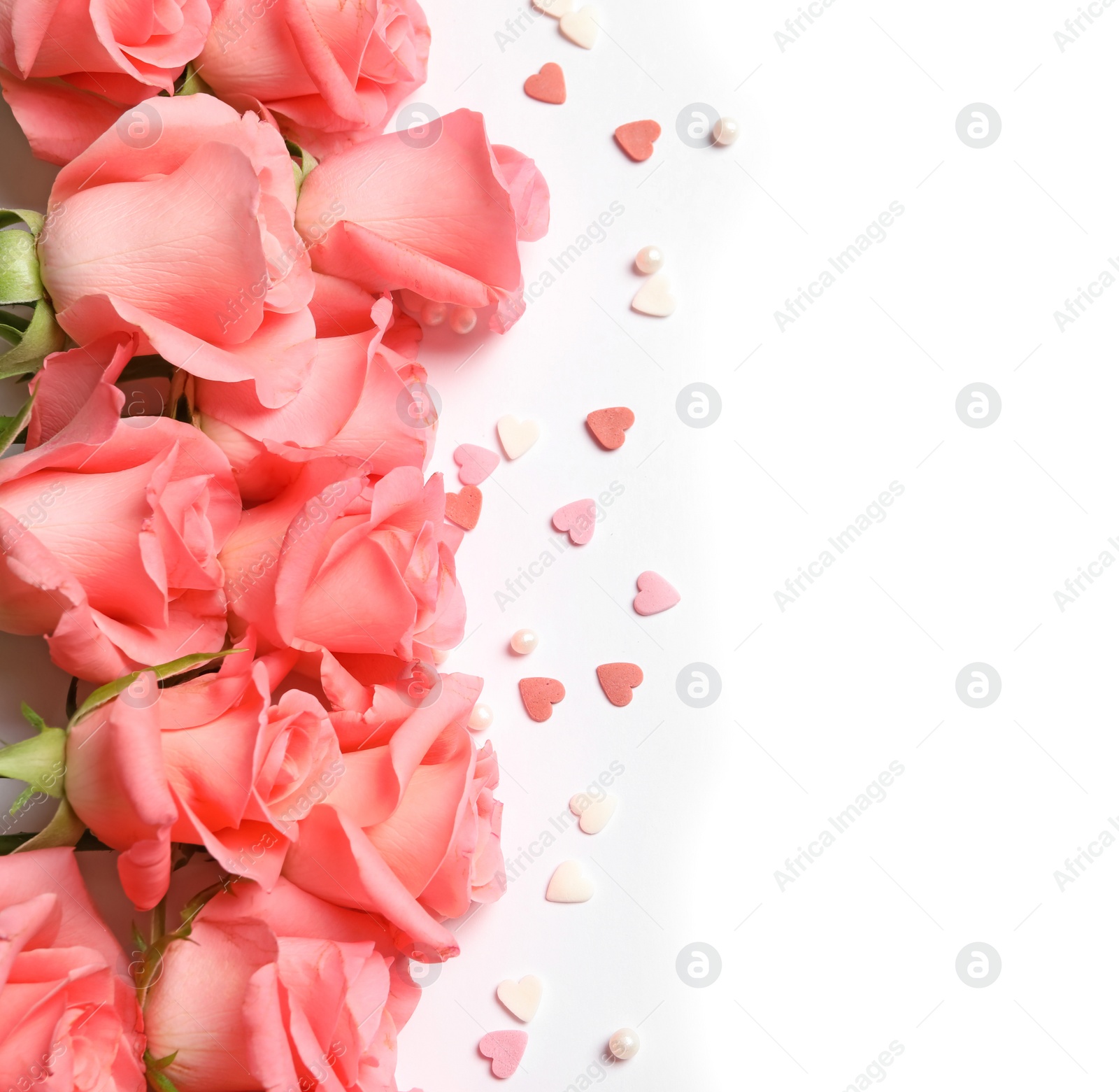 Photo of Beautiful roses and little hearts on white background