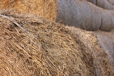 Photo of Many hay bales outdoors on spring day, closeup view