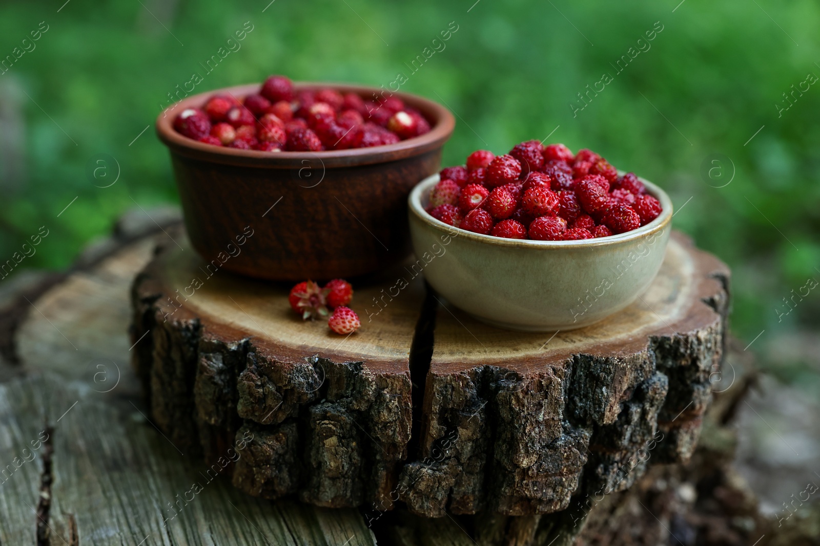 Photo of Bowls of tasty wild strawberries on stump against blurred background, closeup