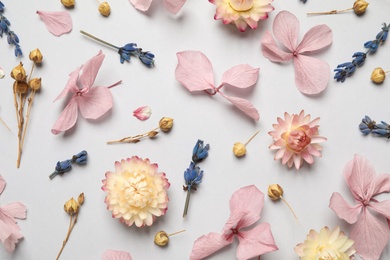 Photo of Flat lay composition with beautiful dried flowers on light background