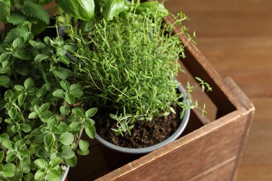 Photo of Different aromatic potted herbs in crate on wooden table, closeup