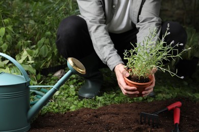 Photo of Man holding pot with beautiful lavender flower over soil in garden, closeup