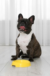 Photo of Adorable French Bulldog near yellow bowl indoors. Lovely pet