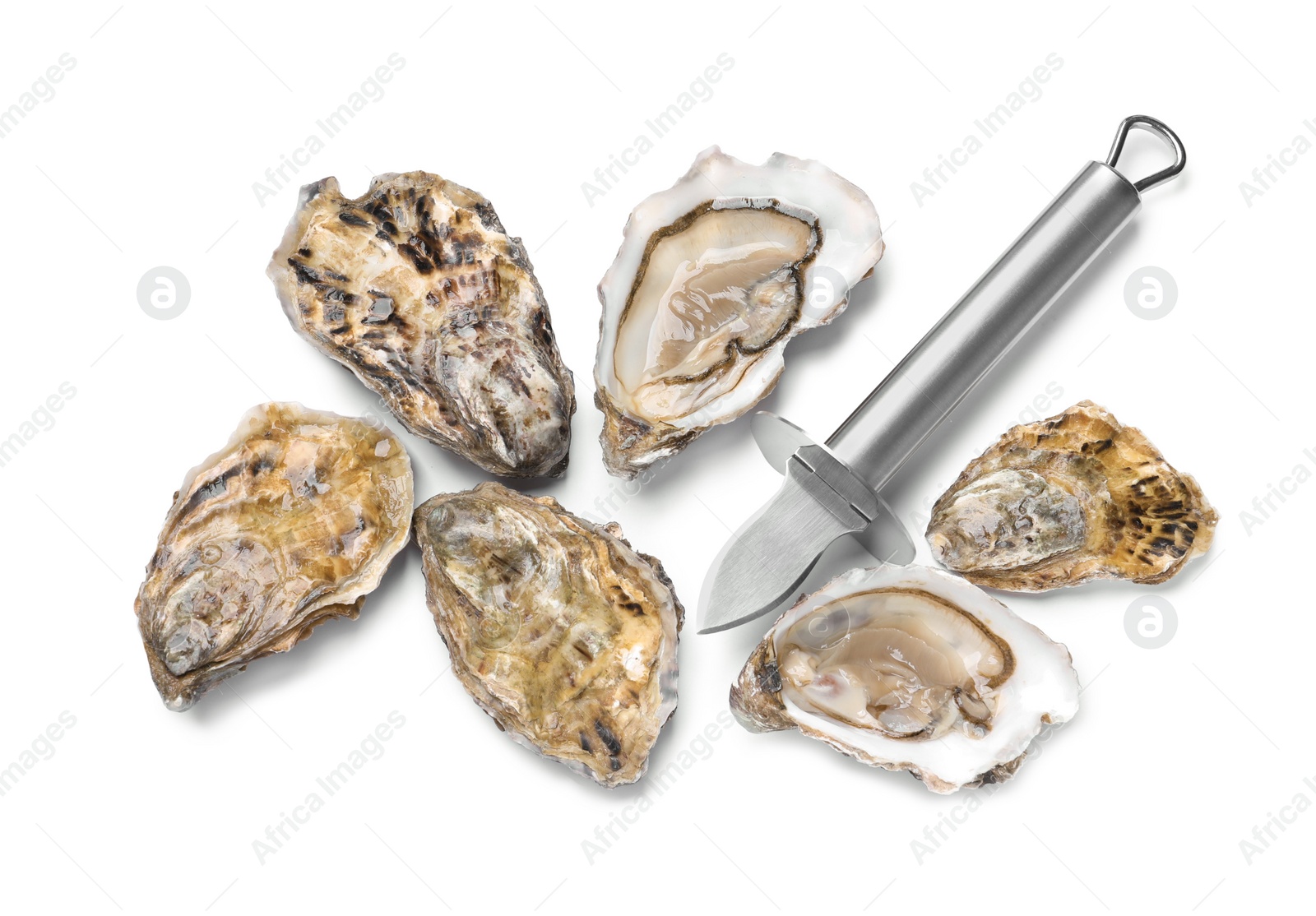 Photo of Fresh raw oysters and knife on white background, top view