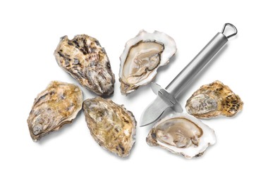 Fresh raw oysters and knife on white background, top view