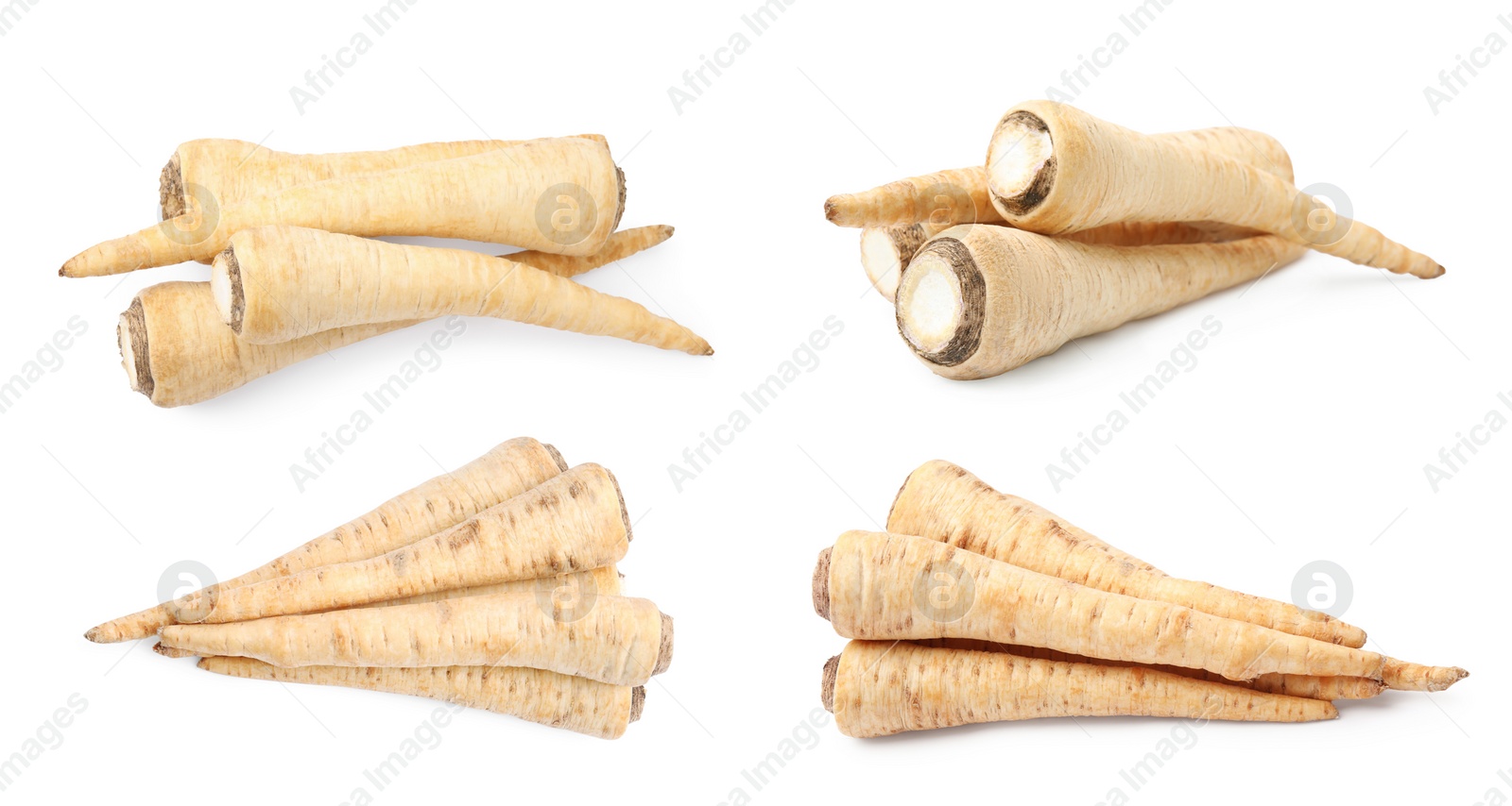 Image of Collage with many fresh parsley roots on white background, different sides