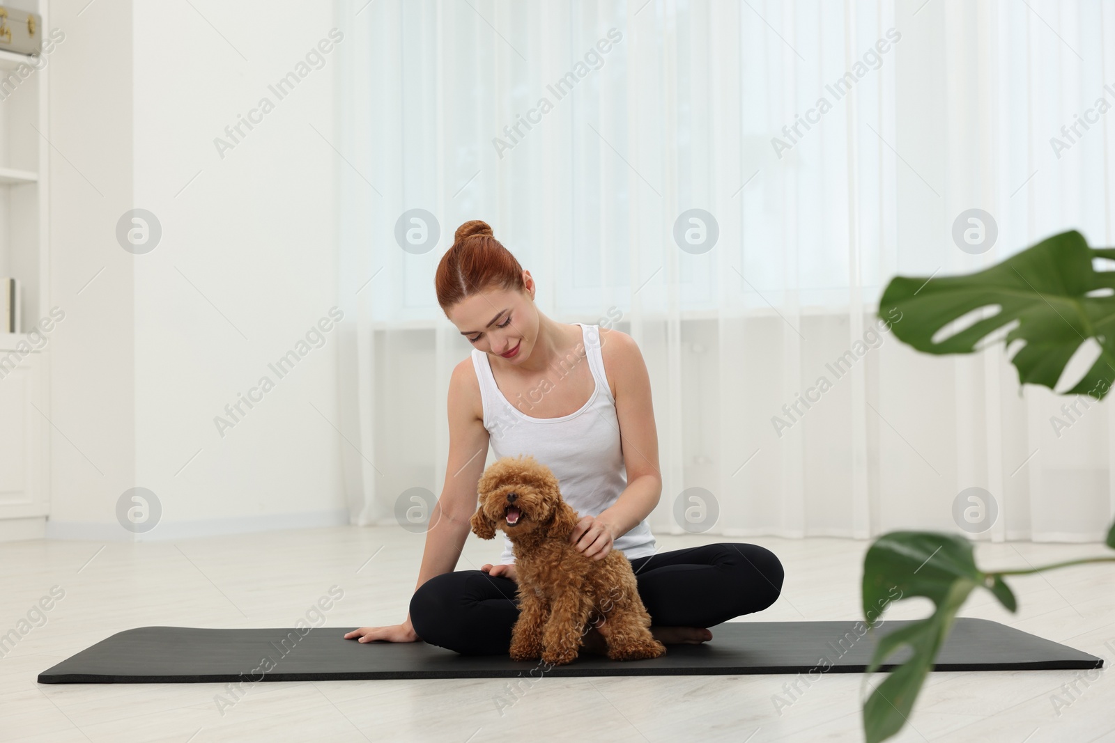 Photo of Young woman practicing yoga on mat with her cute dog indoors