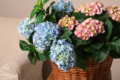 Photo of Beautiful hortensia flowers in basket on table indoors