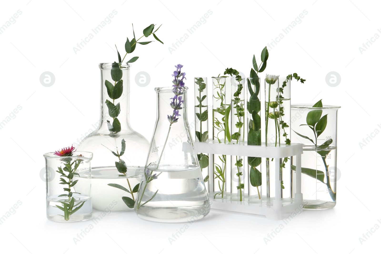 Photo of Test tubes and other laboratory glassware with different plants on white background