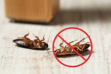 Image of Dead cockroaches with red prohibition sign on floor. Pest control